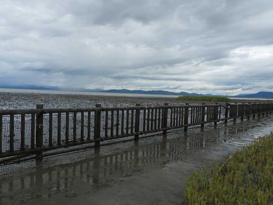 東よか干潟